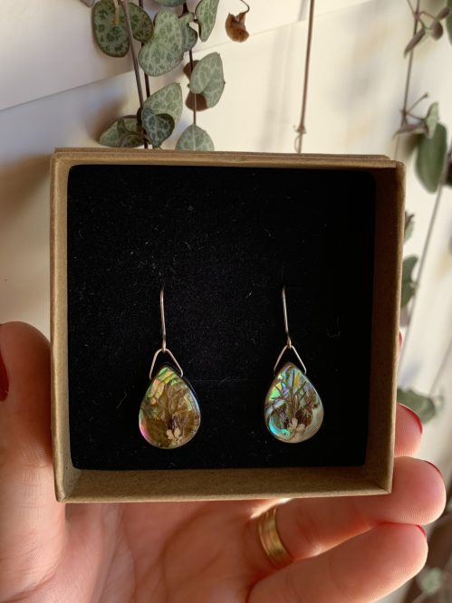 Pendientes de abulón y plata